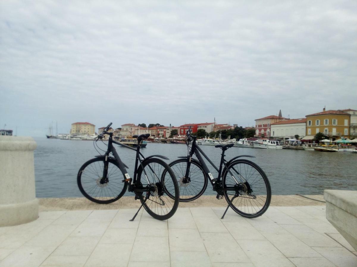 Apartman Kika Poreč Zewnętrze zdjęcie